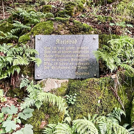 Marie 1880 - Poslední Volné Termíny *